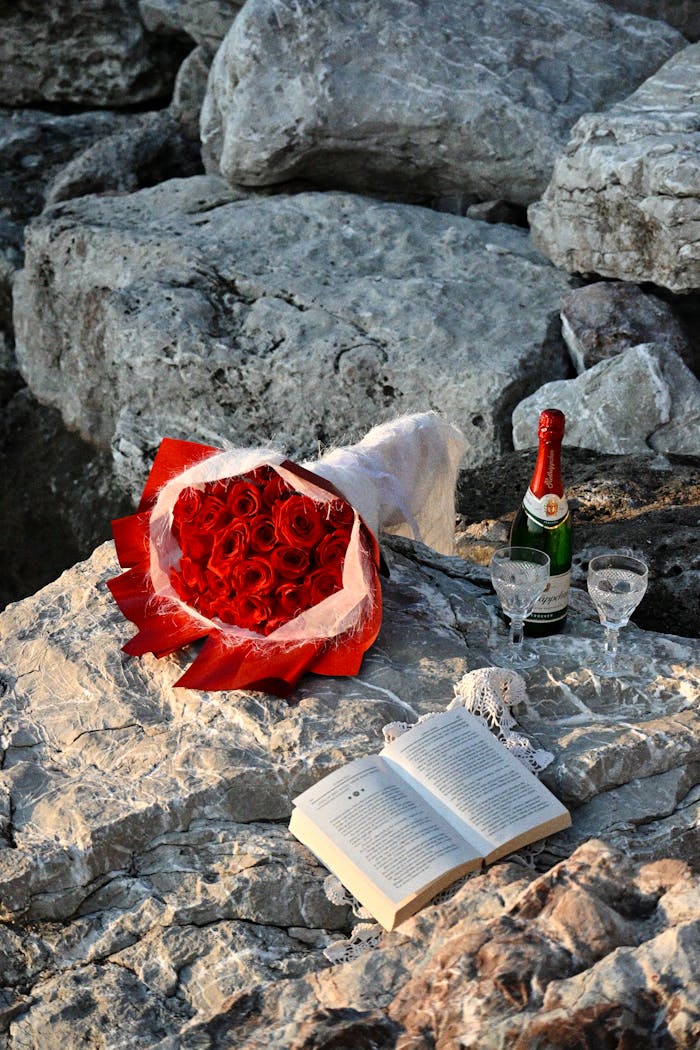 Elegant outdoor setting with red roses, champagne, and book on rocky terrain.